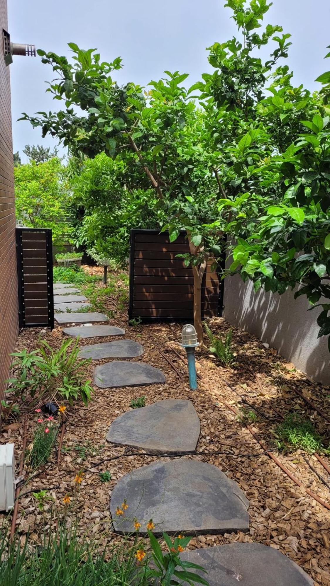 נקודות ריפוי Apartment Tirat Carmel Екстериор снимка